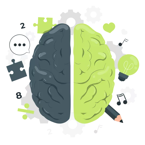 Cerveau_activités.png